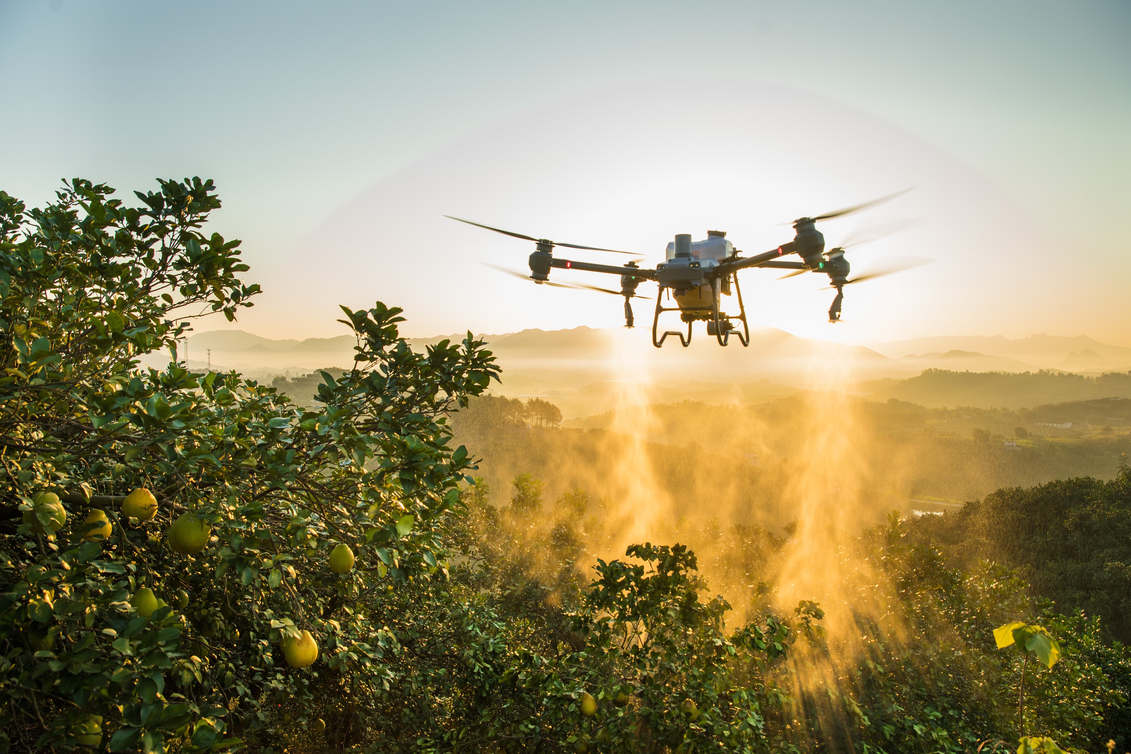 Dronovi vs leđne prskalice vs atomizeri: koji sistem zaštite je pravi za vaš voćnjak?