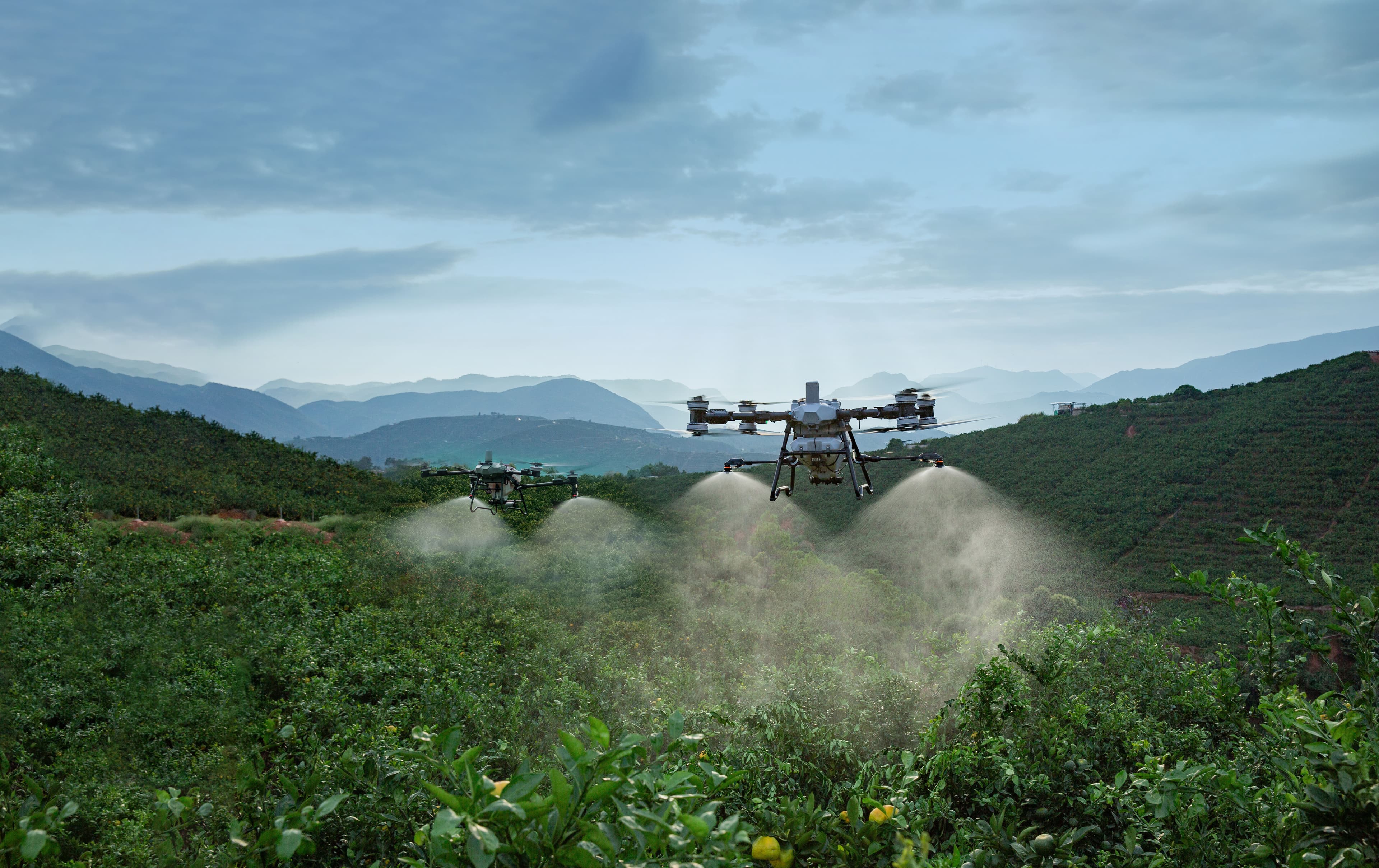 DJI Agras T25P vs T100: Koji dron za prskanje je najbolji za vašu proizvodnju?
