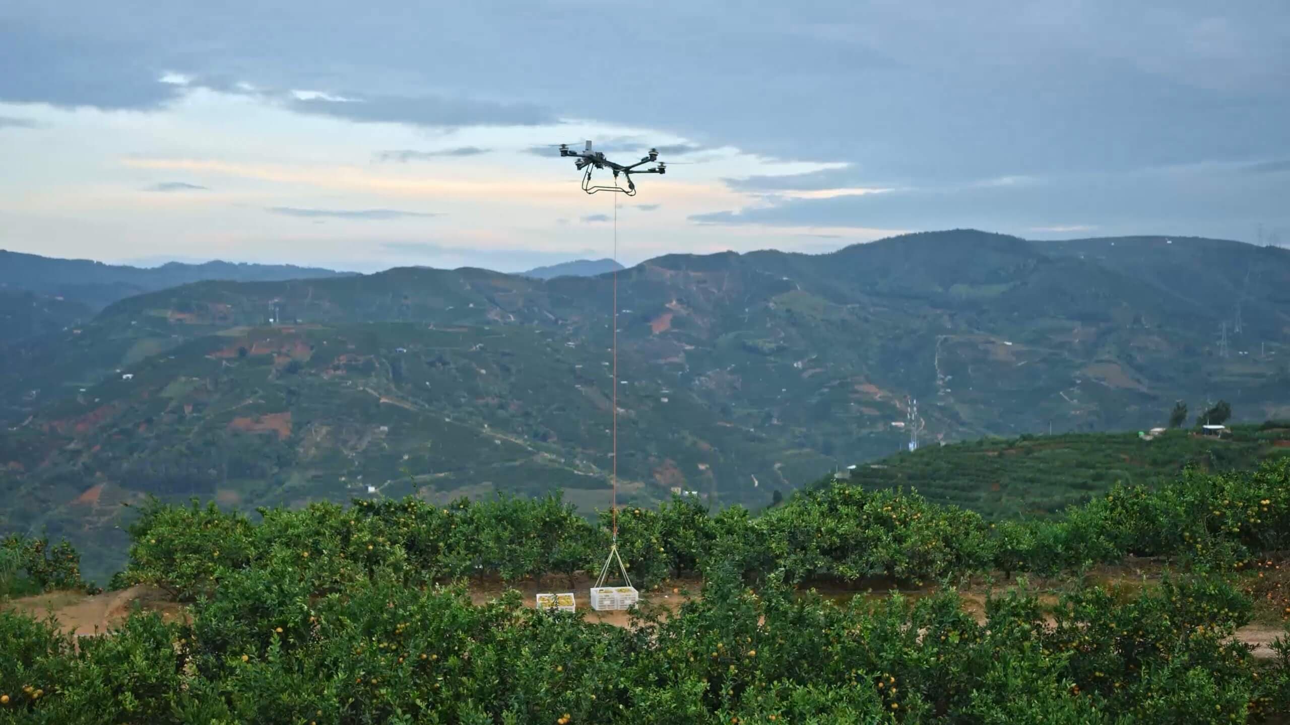 drone