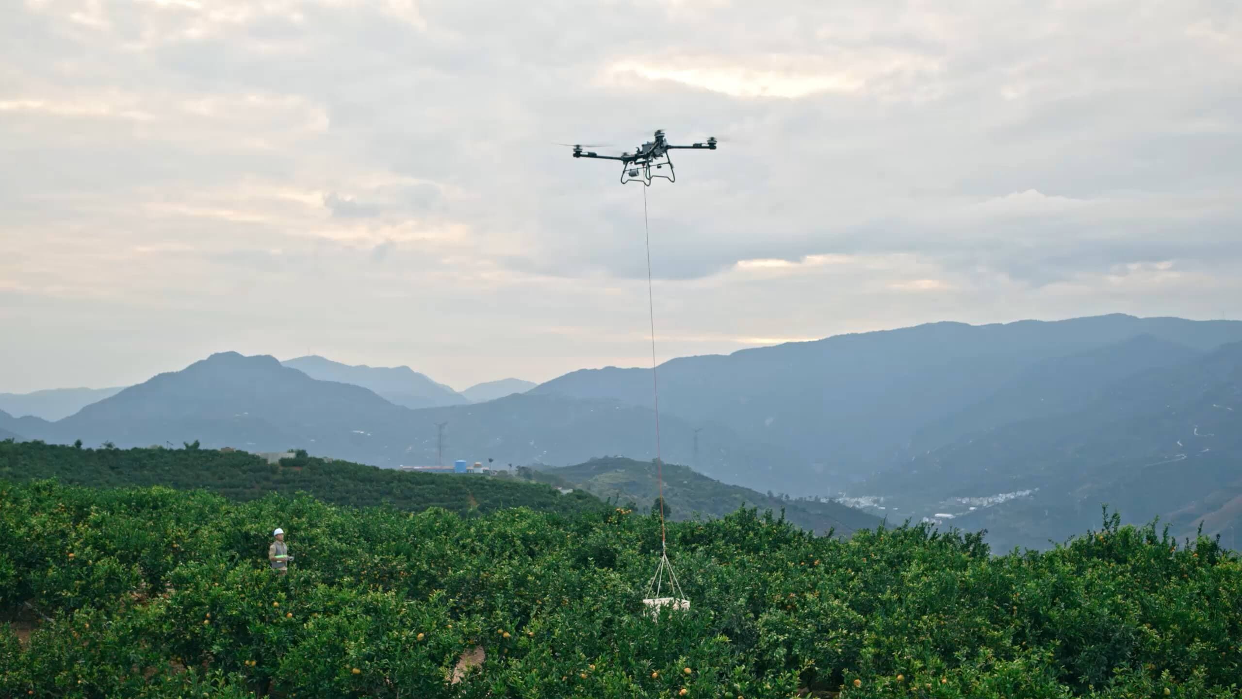 drone
